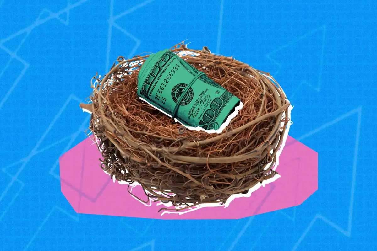 A bird nest with cash inside
