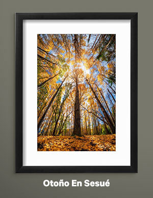 Otoño En Sesué by Carlos Cremades