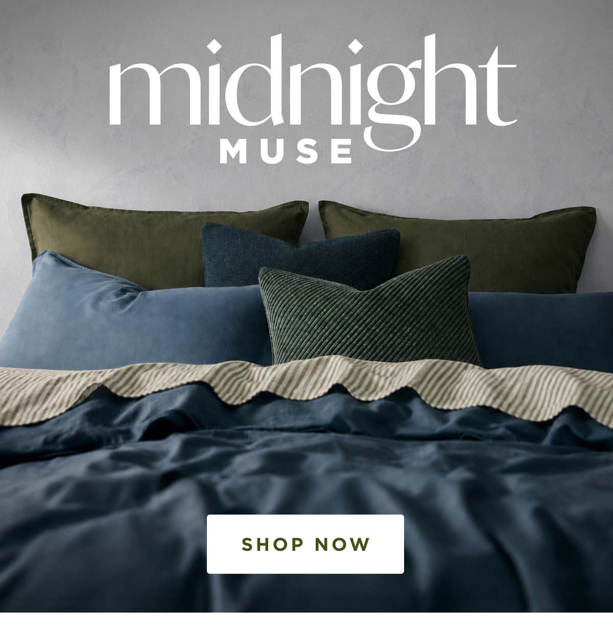 Midnight Muse