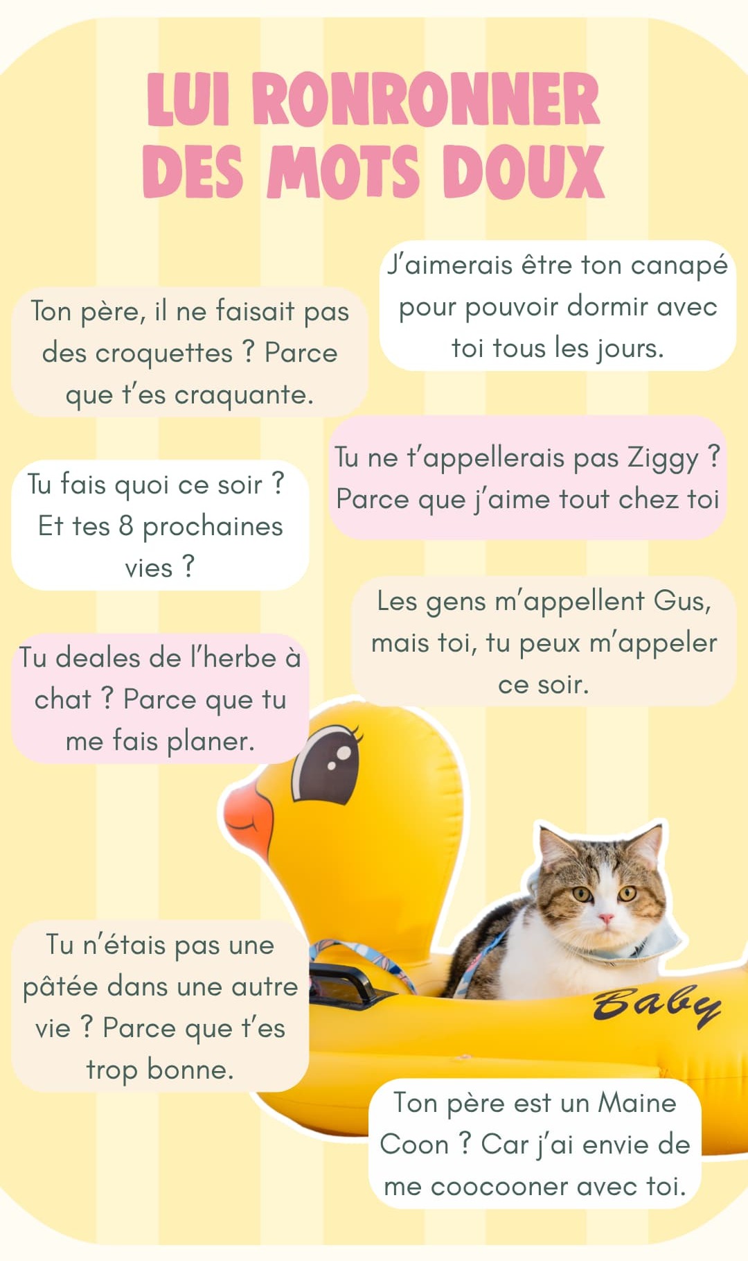Lui ronronner des mots doux