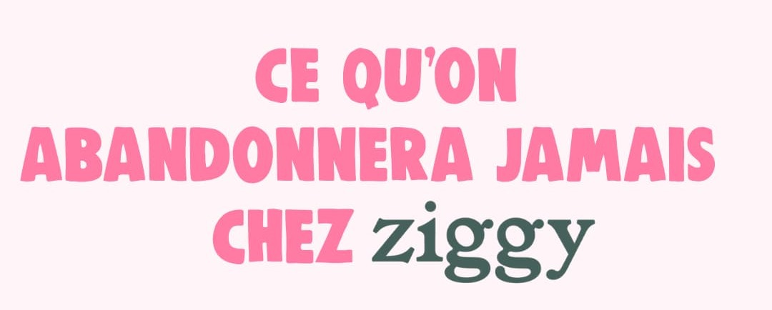 Ce qu'on abandonnera jamais chez Ziggy