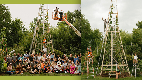 Two pictures. First of a group of people pose in front of a sunflower incased in scaffolding and the same sunflower with four people posing on ladders.nt of 