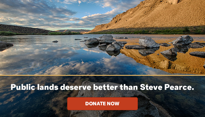 Public lands deserve better than Steve Pearce.