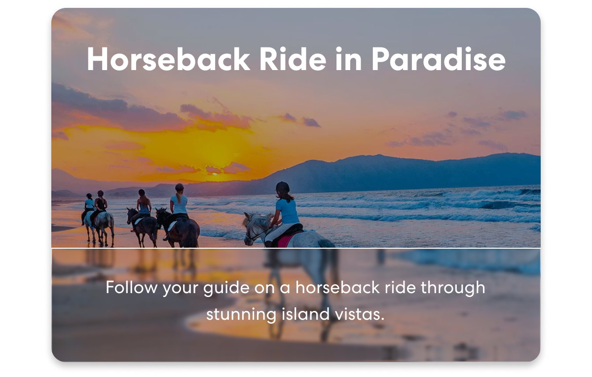 Horseback Ride in Paradise