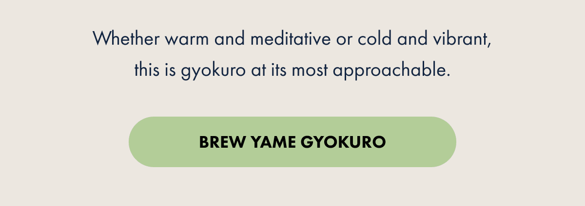 Whether warm and meditative or cold and vibrant, this is gyokuro at its most approachable. BREW YAME GYOKURO