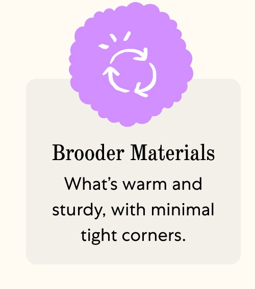 Brooder Materials What’s warm and sturdy, with minimal tight corners.