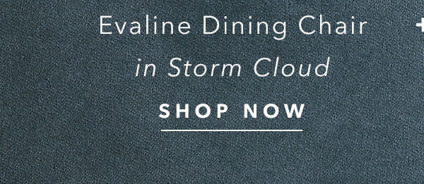 Evaline Storm Cloud Dining Side Chair