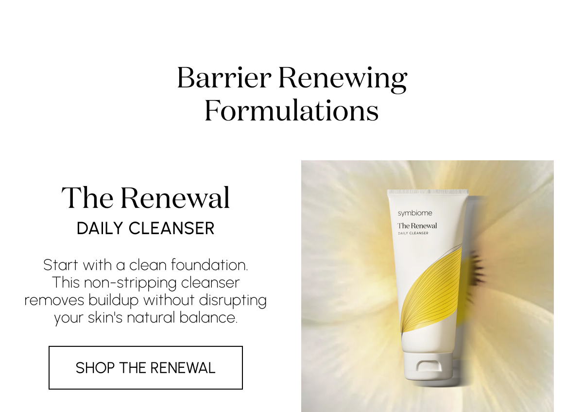 Shop The Renewal