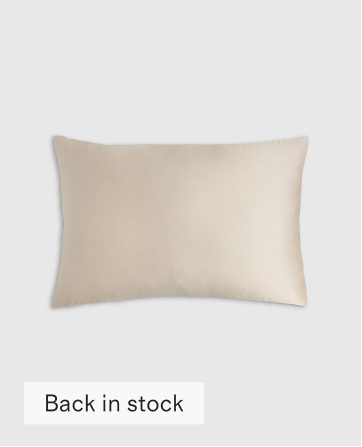 100% Mulberry Silk Pillowcase