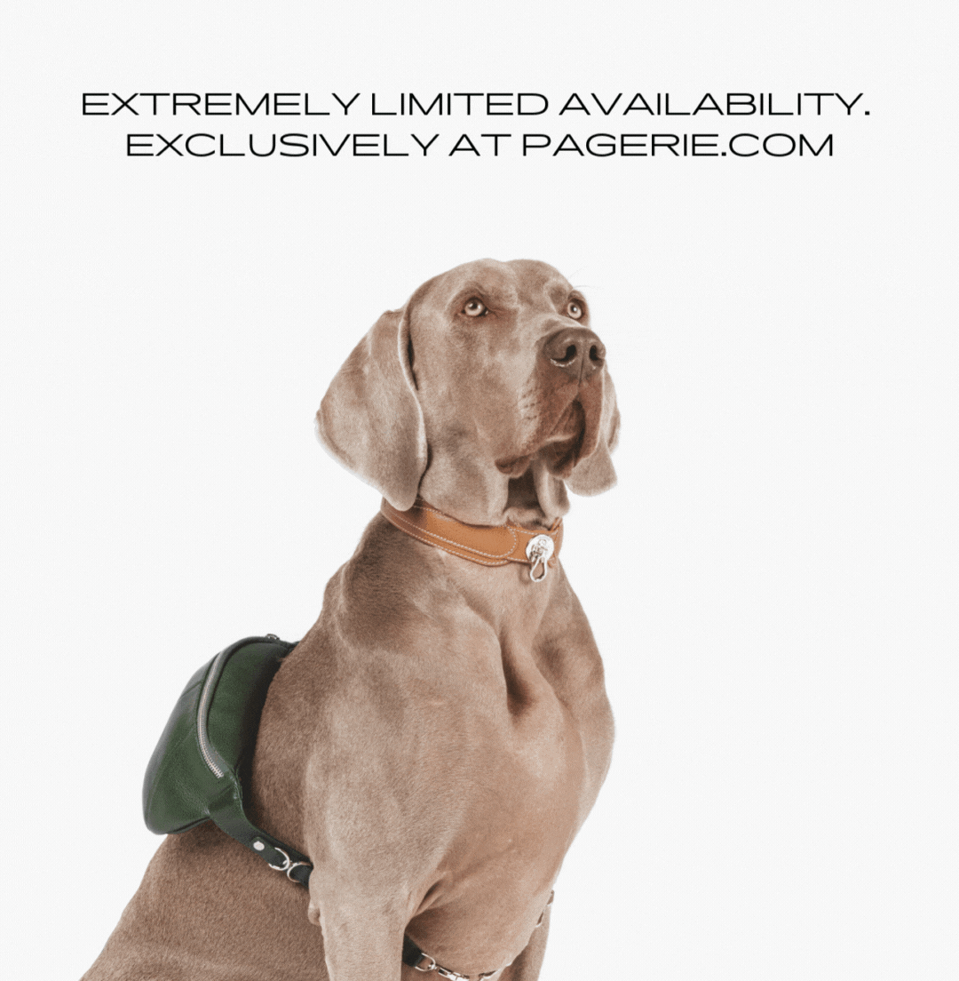 PAGERIE Hiro Bag styled cross-body with matching collar and leash, featuring leash D-rings and interior pocket.