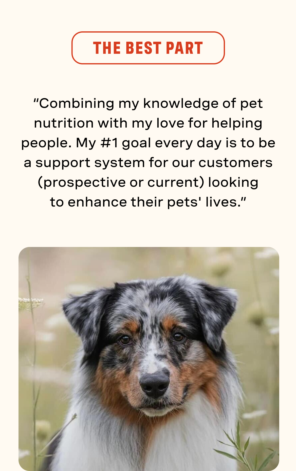 The Best Part: “Combining my knowledge of pet nutrition with my love for helping people. My #1 goal every day is to be a support system for our customers (prospective or current) looking to enhance their pets' lives.”