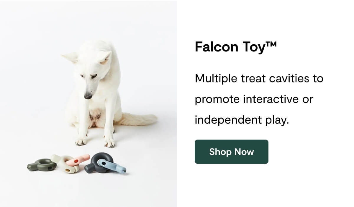 Falcon Toy™&nbsp;