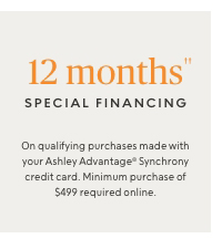12 Months Special Financing