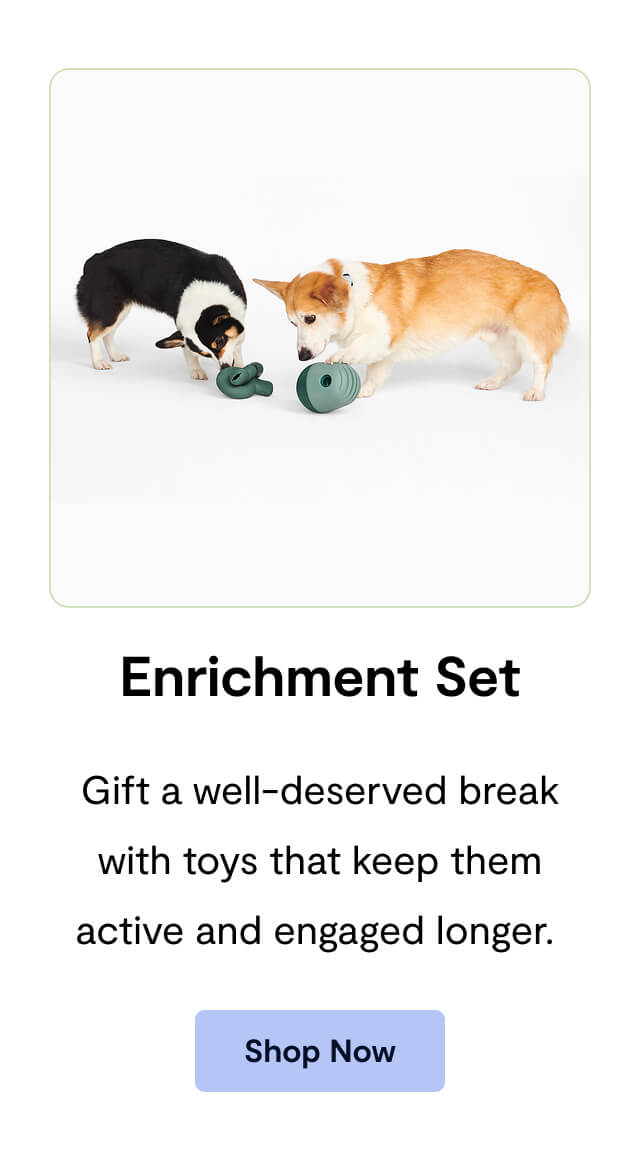 Enrichment Set: Gift a well-deserved break with toys that keep them active and engaged longer.&nbsp;