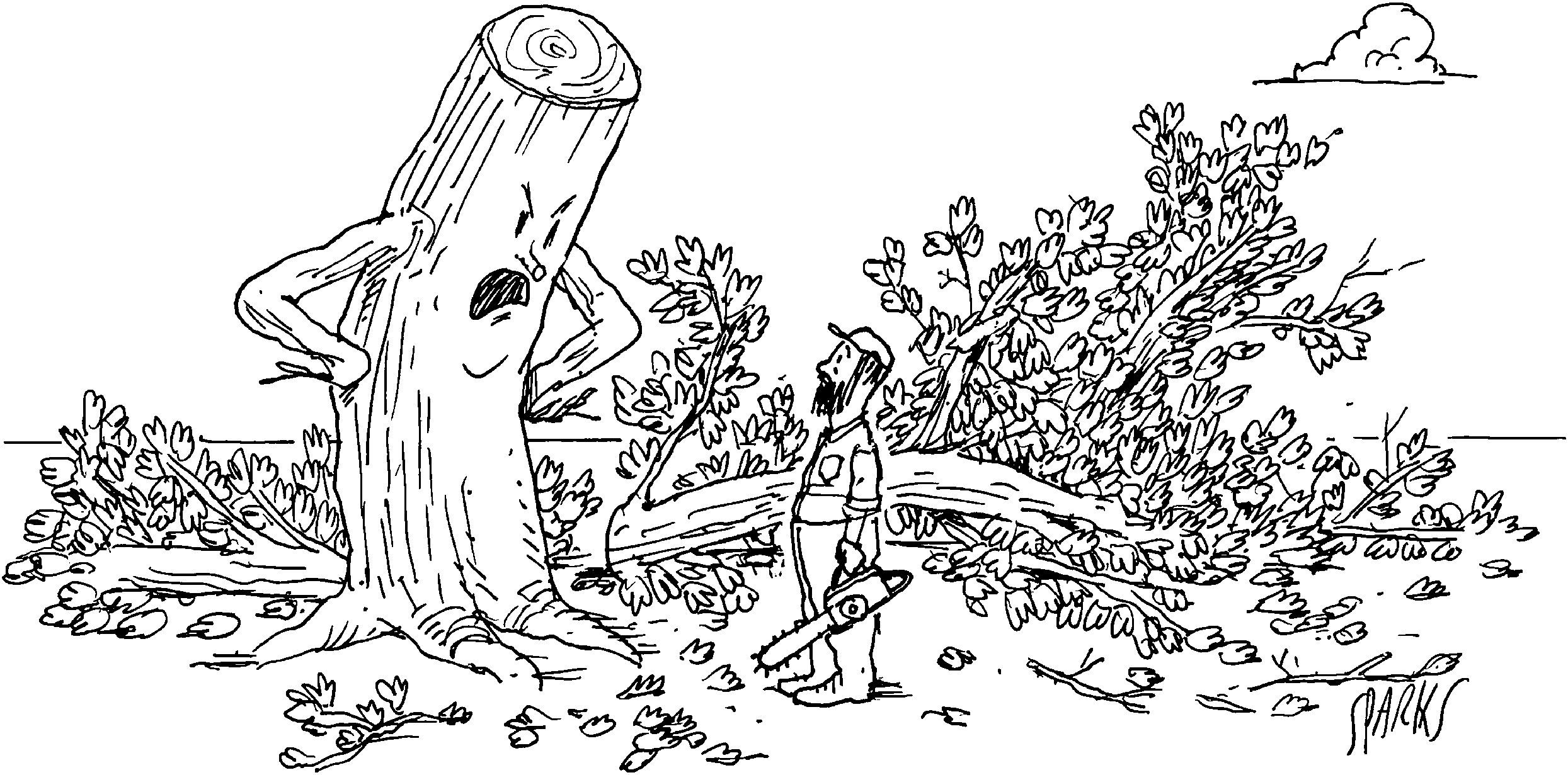 A tree stump looks angrily down at the person who just cut the tree.