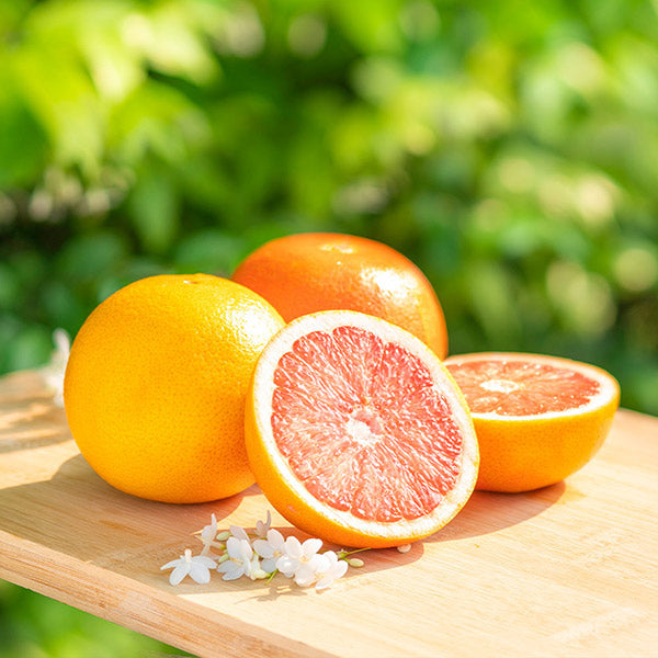 Image of Ruby Red Grapefruit Tree