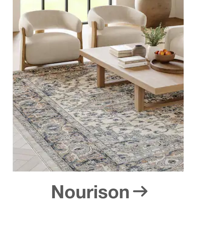 Save on Nourison Rugs