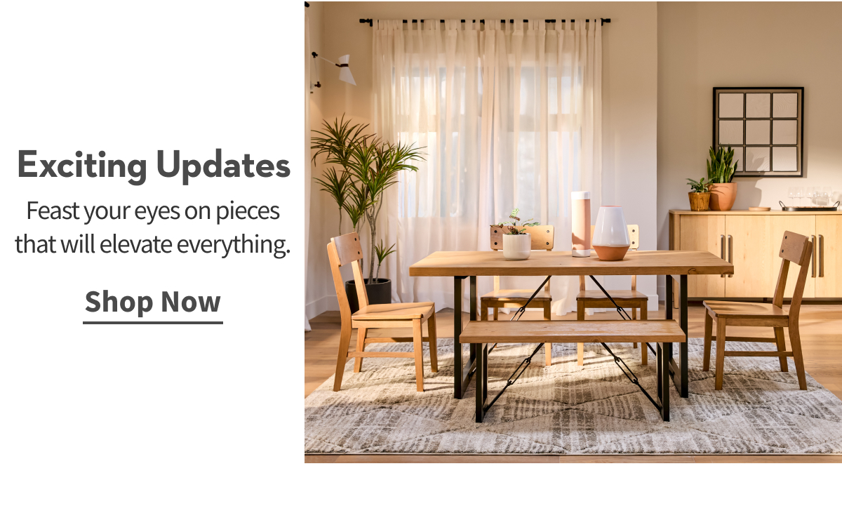 Exciting Updates | Feast your eyes on pieces that will elevate everything. | Shop Now