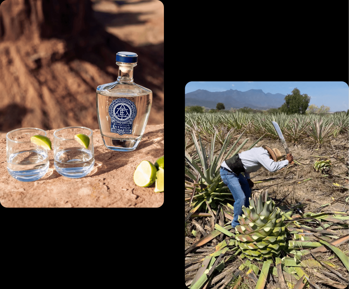 All about Tequila 