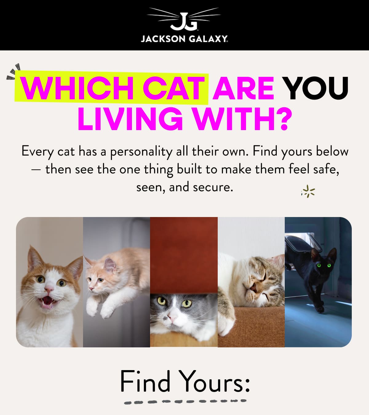 Which cat are you living with?