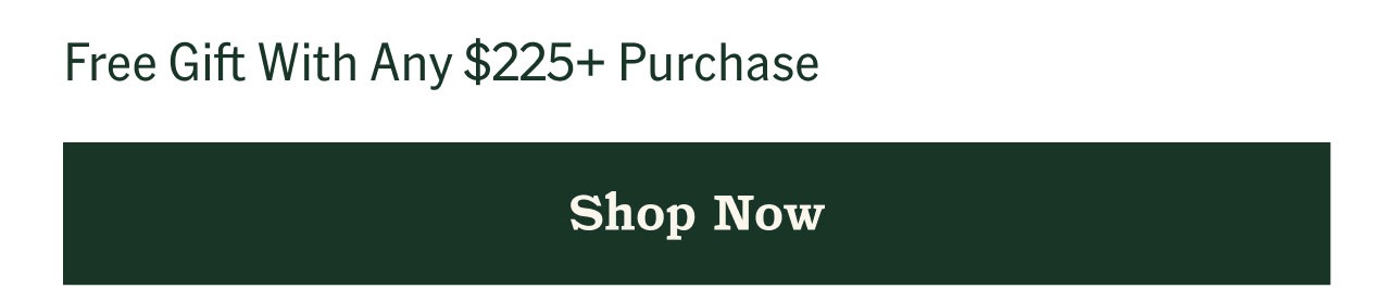 Free Gift With Any $225+ Purchase - Shop Now