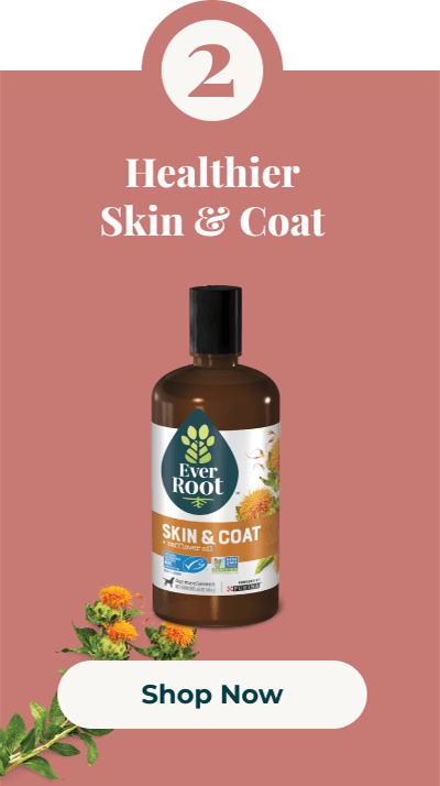Skin Coat Image and Shop Now CTA 2