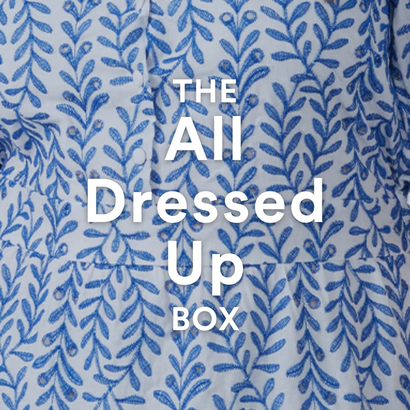 The All Dressed Up Box