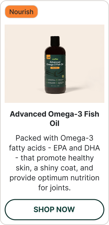 Shop Omega-3 Fish Oil