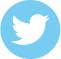 Twitter Icon