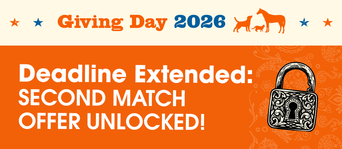 Deadline Extended: Second Match Offer Unlocked.