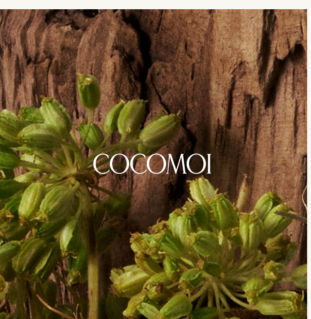 Cocomoi