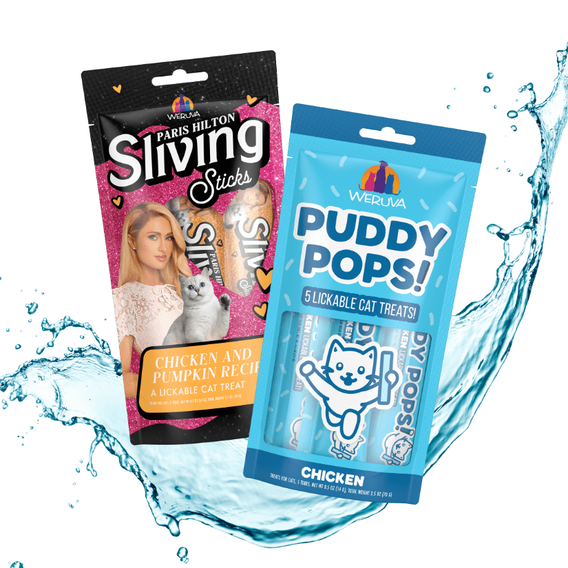 Puddy Pops and Sliving Sticks