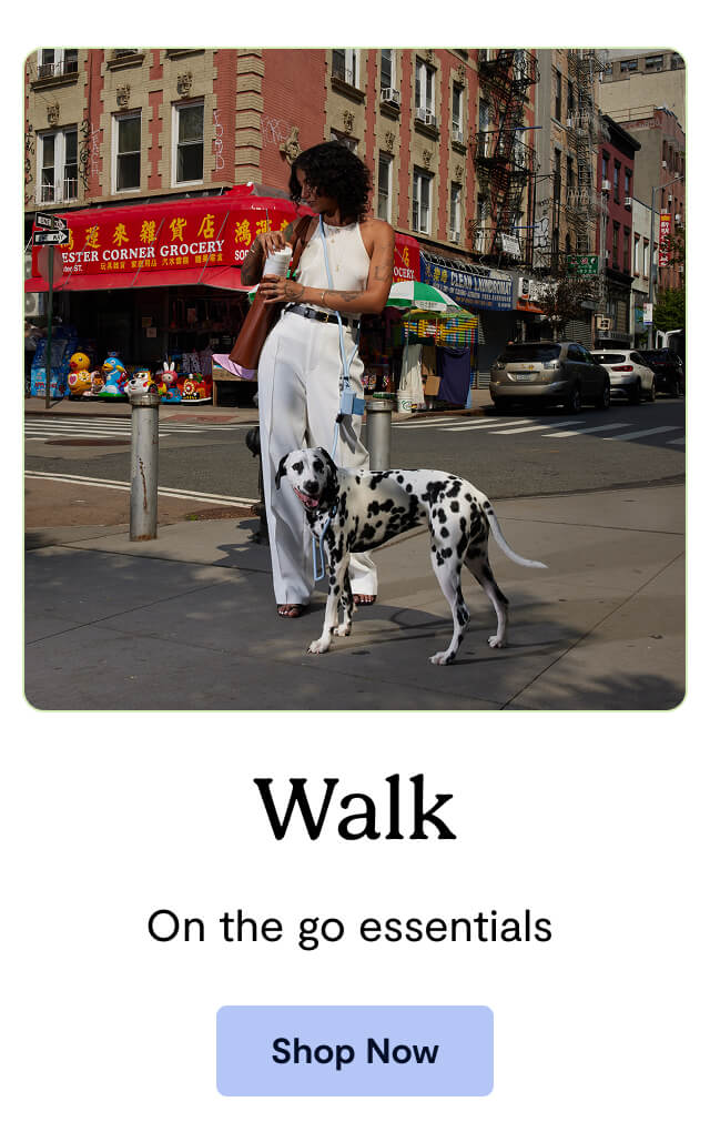Walk - On the go essentials&nbsp;