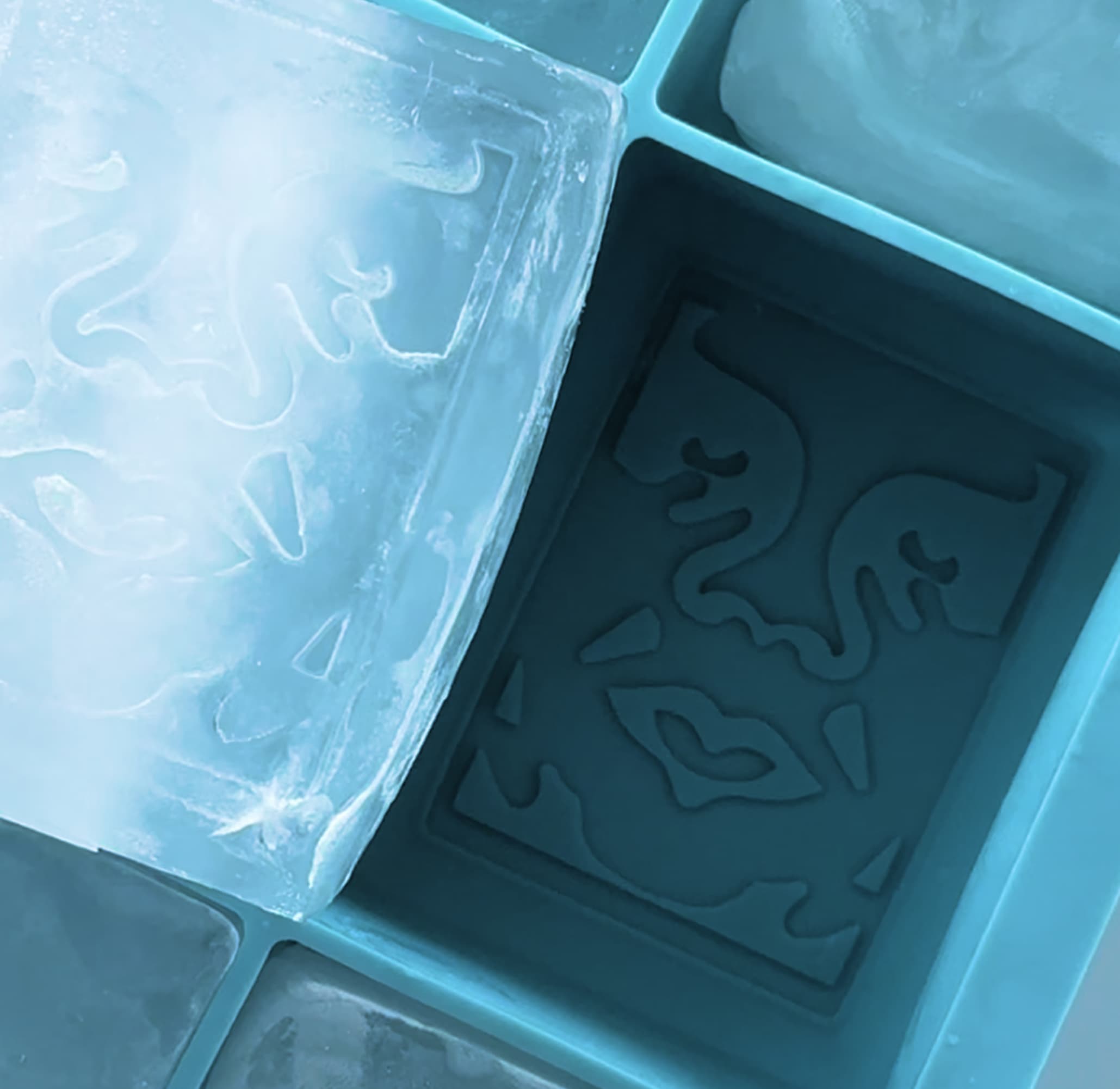 Ice tray close up