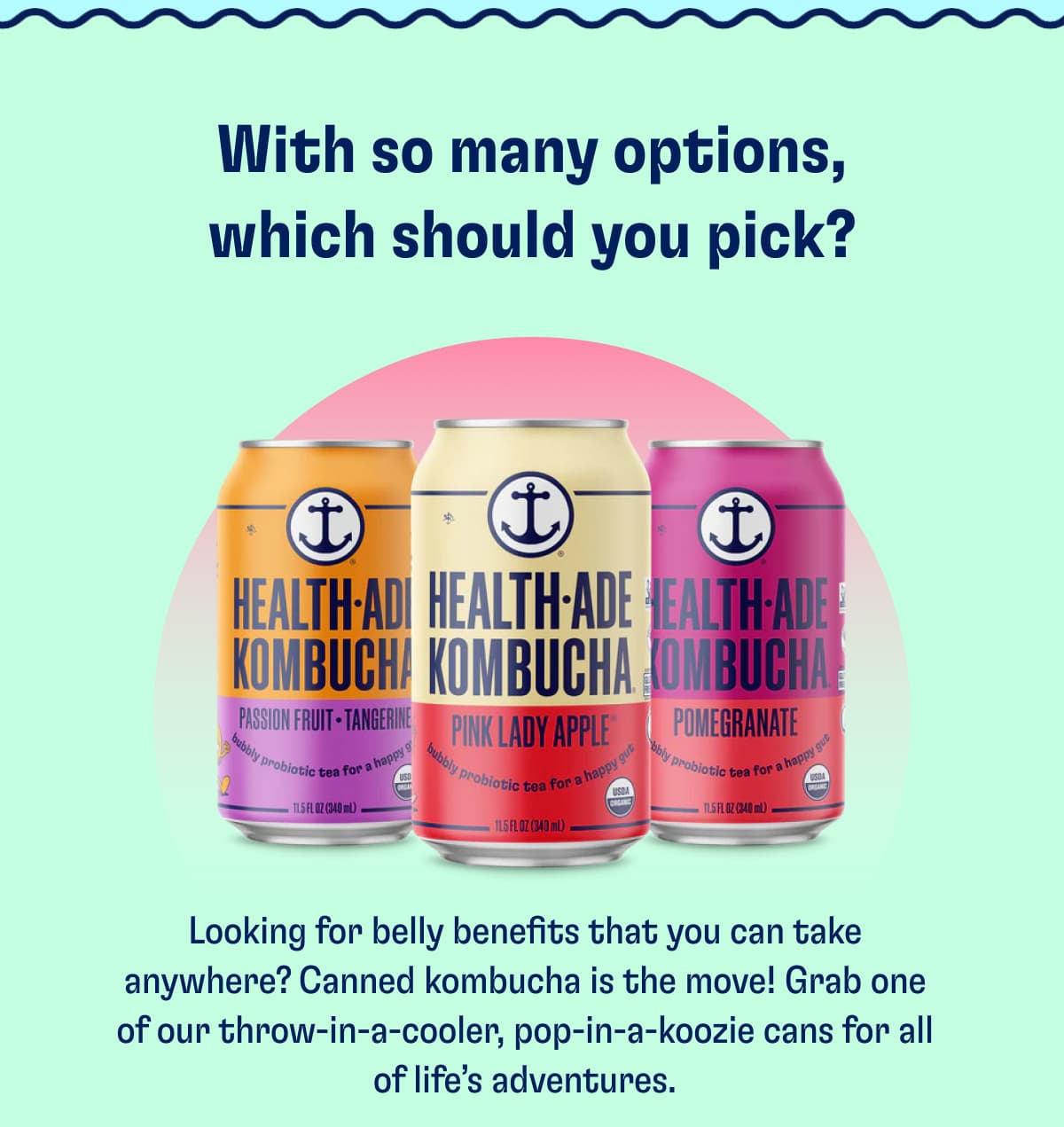 Kombucha in Cans