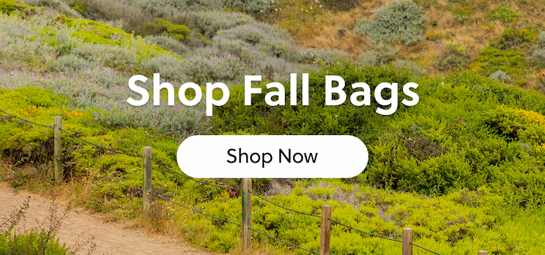 Shop Fall Bags