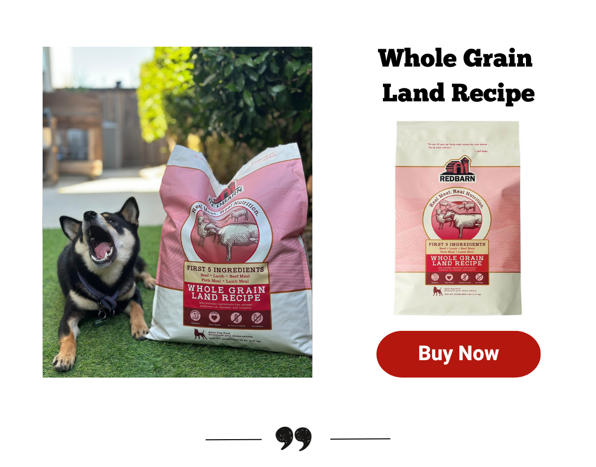 Whole Grain Land Recipe