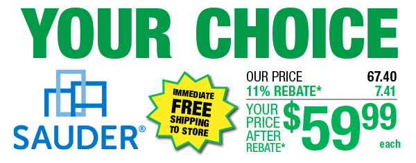 Your Choice - Horizontal Bookcase or Storage Cabinets - Free Shipping To Store!