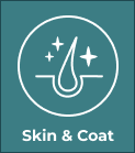 Skin and Coat Box