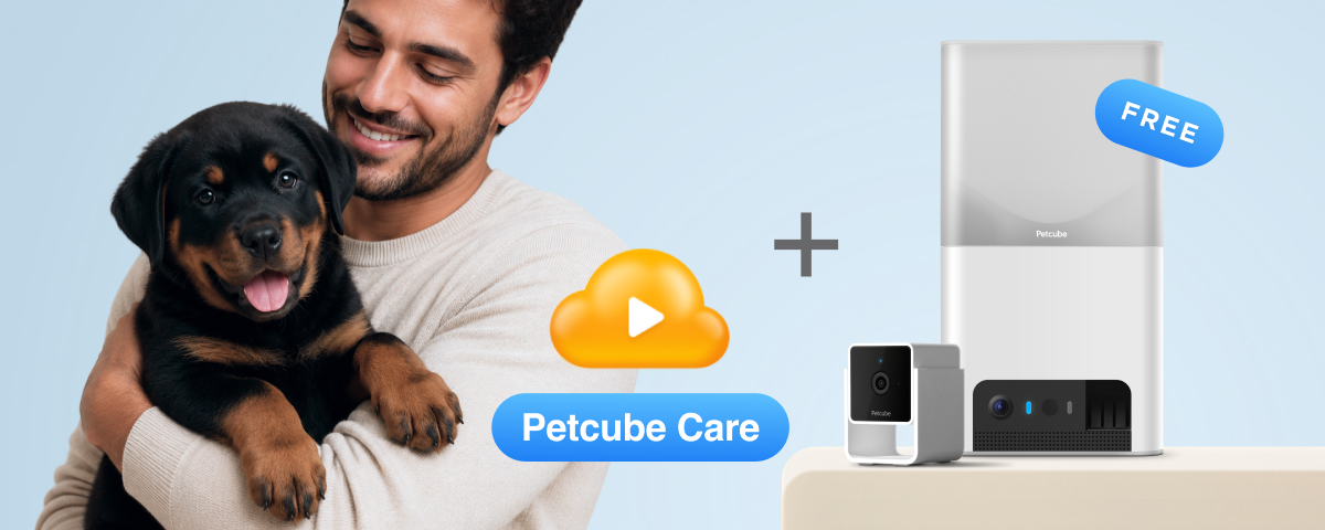 Petcube Care plus Cam for free