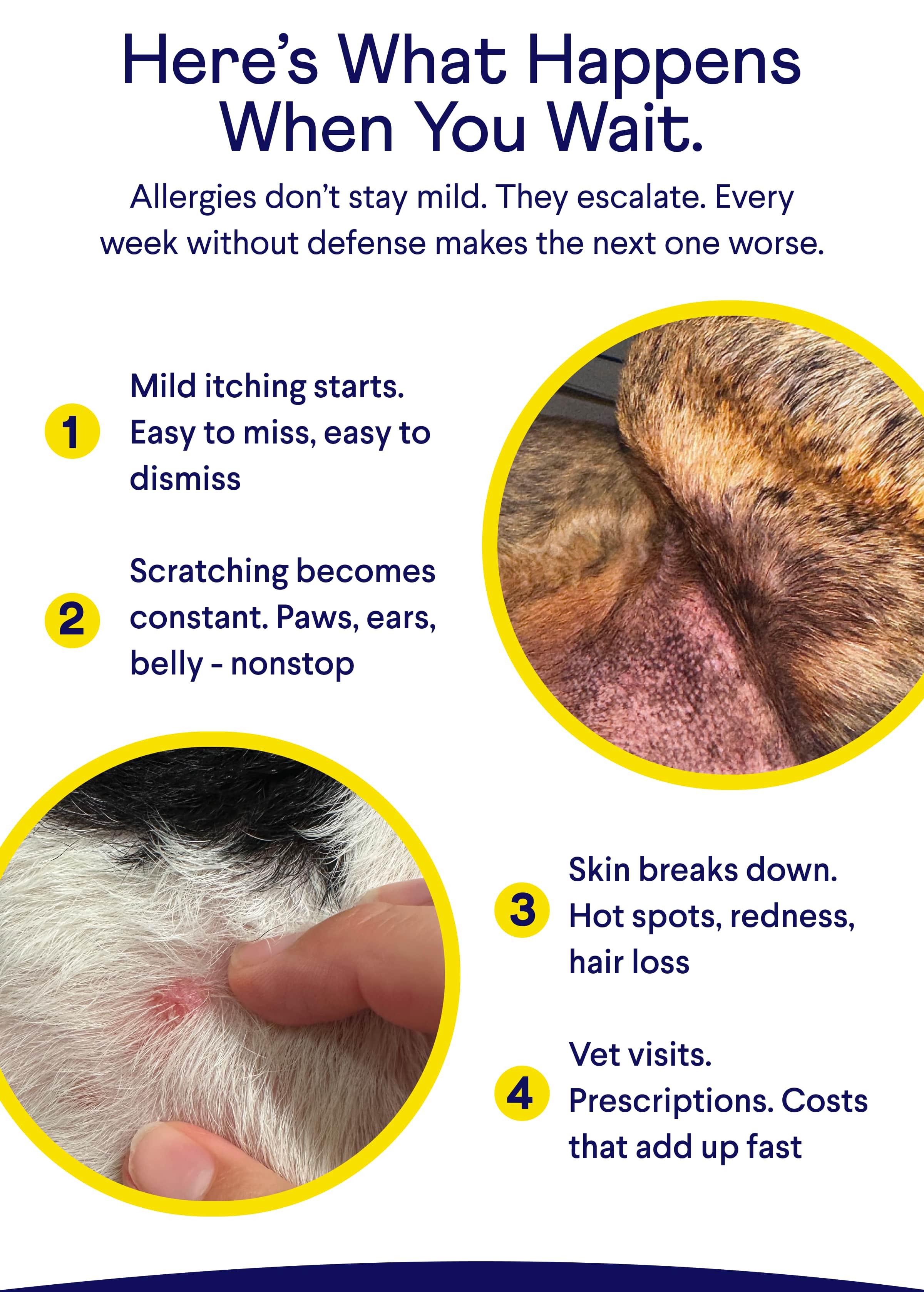 TEXT: Here’s What Happens When You Wait. Allergies don’t stay mild. They escalate. Every week without defense makes the next one worse. Mild itching starts. Easy to miss, easy to dismiss  Scratching becomes constant. Paws, ears, belly - nonstop Skin breaks down. Hot spots, redness, hair loss  Vet visits. Prescriptions. Costs that add up fast