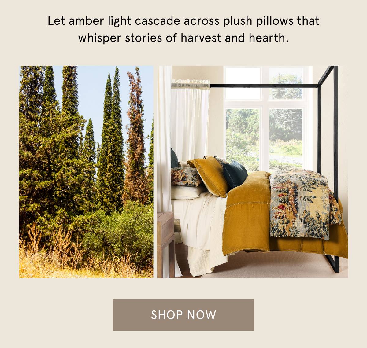 Shop Provence Bedding Set