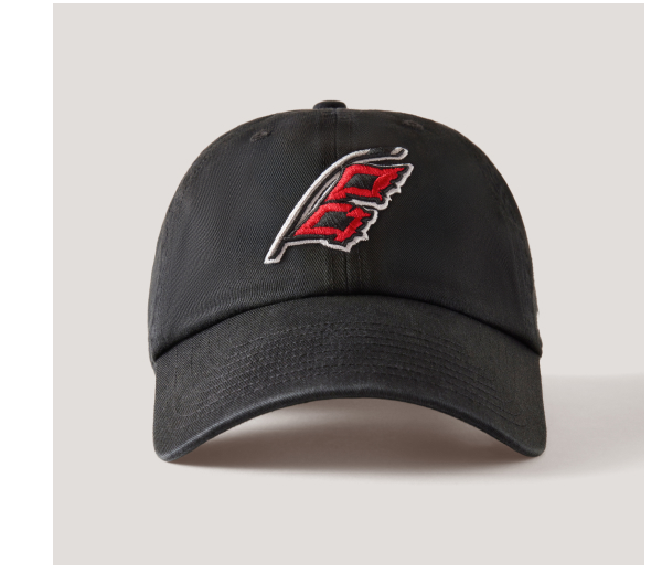Carolina Hurricanes