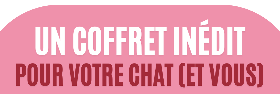 Un coffret inédit pour votre chat et vous