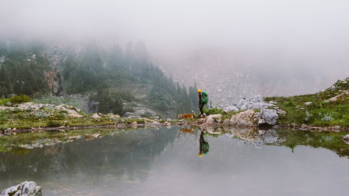 Canada_VancouverIsland_Strathcona-Provincial-Park_CreditDestination-BC_Ben-Giesbrecht_h