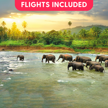 15 Day Essence of Sri Lanka