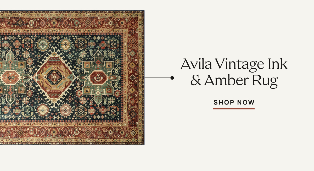 Avila Vintage Ink & Amber Rug | Shop Now