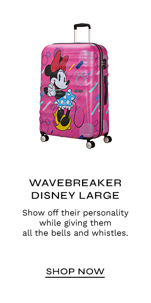 Wavebreaker Disney Large