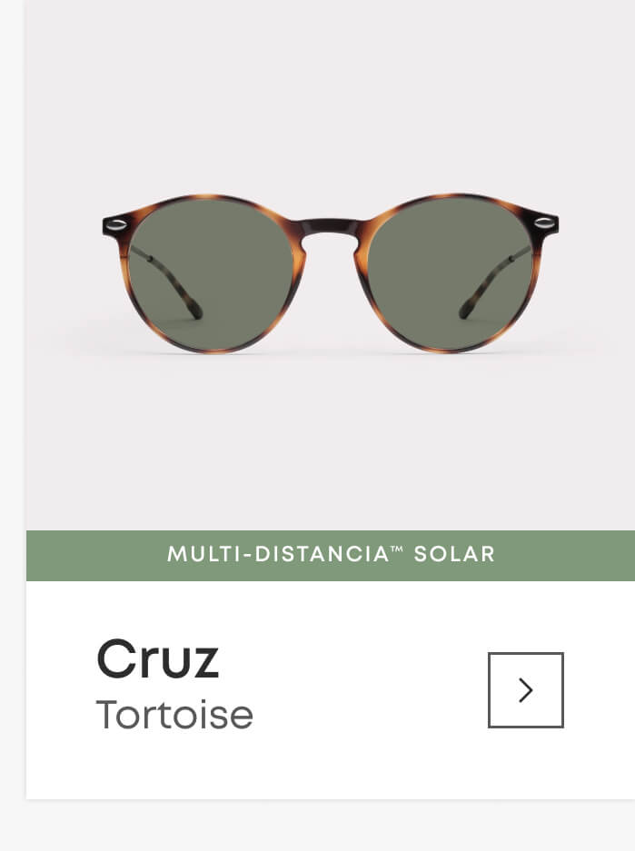 Cruz Tortoise