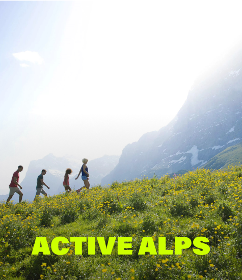 Active Alps trip card 